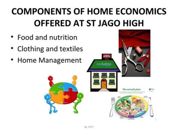 What are the 3 components of Home Economics?